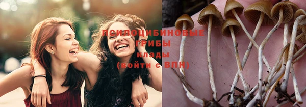 а пвп мука Алзамай