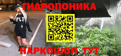 дурь Гусев