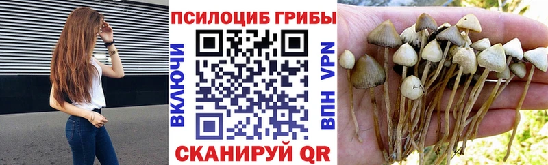 Псилоцибиновые грибы мухоморы  где найти наркотики  Миасс 