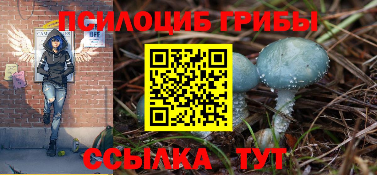 Миасс  Галлюциногенные грибы Magic Shrooms  Вход с VPN 